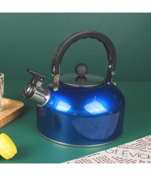 BMA factory wholesale whistle kettle paint blue red silver green stainless steel water kettle