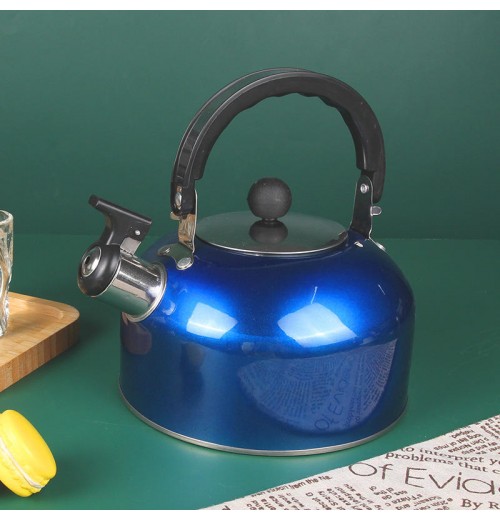 BMA factory wholesale whistle kettle paint blue red silver green stainless steel water kettle