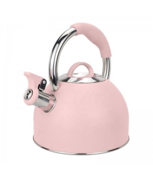 Factory High Quality Kitchen Home Hot Water Tea Pot Stainless Steel Whistling Kettle With Color Painting